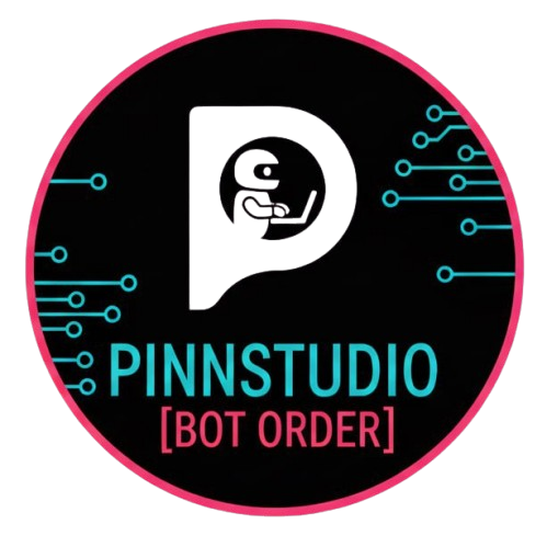 Logo PINN STORE